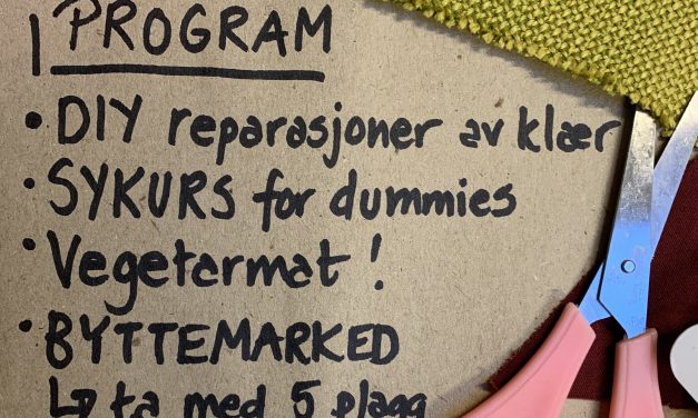Grønn fredag på Trikkehallen